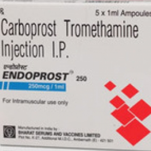 Endoprost 250 mcg Injection
