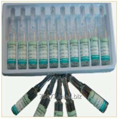 Tetanus Vaccine Lockjaw Injection